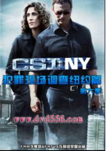 CSI:NY/犯罪現場調查: 紐約篇 第6季完整 3D9 【VOV高清美劇】