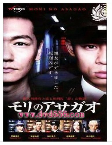 2010日劇 森林的牽牛花 伊藤淳史/井浦新 日語中字 盒裝2碟