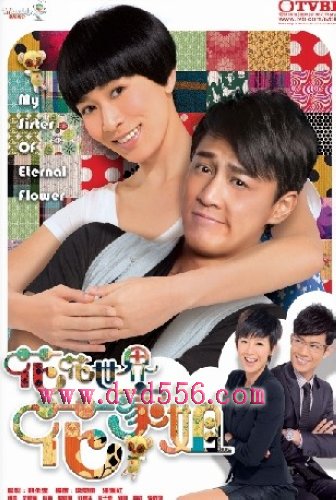 2011港劇 花花世界花家姐 佘詩曼/林峰 國語中字 盒裝4碟