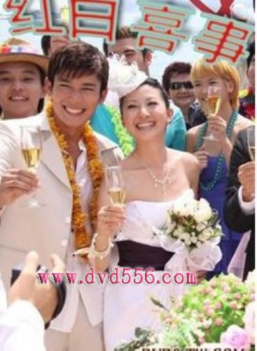 2010新加坡劇 紅白喜事/紅白囍事 歐萱 國語中字 盒裝4碟