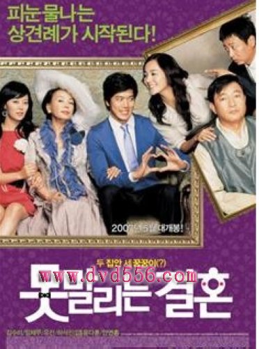 2007韓國電影 無法阻擋的婚姻 柳真/河錫辰 韓語中字 盒裝1碟