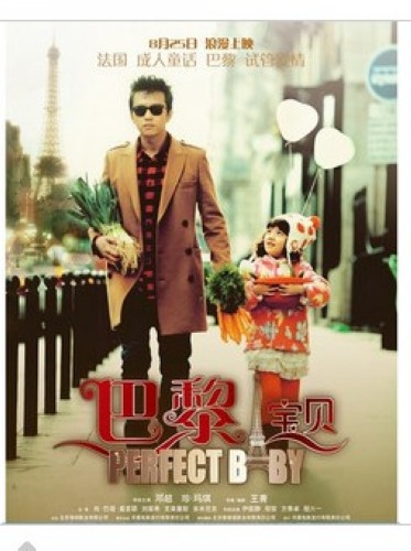 2011大陸電影 巴黎寶貝/ Perfect Baby 鄧超 國語中字 盒裝1碟