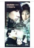 2003大陸劇 別了，溫哥華 陳坤/李小冉 國語中字 盒裝4碟
