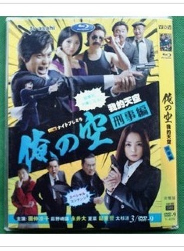 2011日劇 我的天空刑事篇 國仲涼子/永井大 日語中字 盒裝2碟