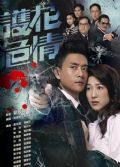 2012高分港劇【護花危情】【國語/粵語】【鐘嘉欣 黃宗澤】4碟