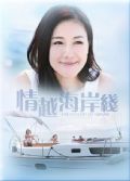 2013港劇 情越海岸線 黃浩然/陳展鵬 國語中字 盒裝5碟