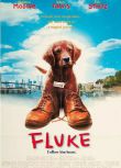 1995電影 再世人狗緣 Fluke/人犬一點靈 國語中字