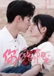 2025大陸劇《你是碎碎陽光》徐浩翔/黃盼盼 國語中字 盒裝1碟