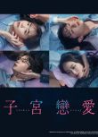 2025日劇《子宮戀愛》松井愛莉/大貫勇輔 日語中字 盒裝2碟