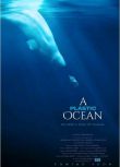 2016美國紀錄片《塑膠海洋》.英語中英雙字