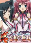 真戀姬無雙 1-3季完整版36集+OVA全集2碟DVD