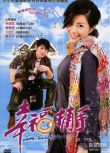 2008台劇《幸福捕手/Love Catcher》徐懷鈺/施易男 國語中字 盒裝5碟