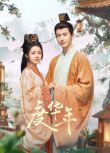 2024大陸劇 度華年/長公主【TV全集+花絮+OST】趙今麥/張淩赫 高清盒裝6碟