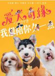 2023大陸電影《愛犬奇緣/Puppy Love》馮紹峰/古力娜紮 國語中字 盒裝1碟