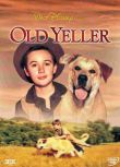 經典感人寵物電影 老黃狗/父親離家時 Old Yeller DVD收藏版