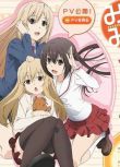 南家三姐妹 1-4季完整版 2碟