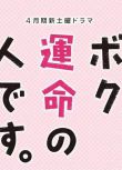 2017日劇 真命天菜/命中註定你愛我/我命中註定的人 龜梨和也/山下智久 日語中字 盒裝2碟
