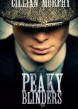 2013英國犯罪劇DVD：浴血黑幫 第一季 Peaky Blinders 全6集