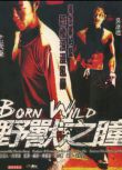 電影 野獸之瞳/Born Wild 古天樂/吳彥祖 國語中字 盒裝1碟