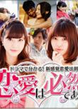 2014日劇 戀愛是必然的:新感覺戀愛法則 田中美保 日語中字 盒裝3碟