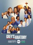 2024高分美劇 實習醫生格蕾/Grey's Anatomy 第20季 艾倫·旁派 英語中字 盒裝2碟