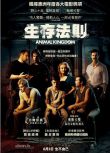 2010最新高分劇情《動物王國/生存法則/野獸家族》 DVD 英語中英雙字