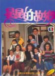 台劇 【1984年星星的故鄉】【國語中字】【吳靜嫻 劉延方】5碟