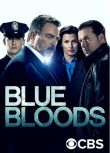 2024美劇 警察世家/Blue Bloods 第十四季 湯姆·塞立克 英語中字 盒裝3碟