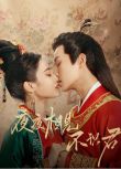 2023大陸劇 夜夜相見不識君 李菲/孫雪寧 盒裝2碟