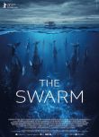 2023德劇 種群/群/The Swarm 全8集 塞西爾·德·弗朗 英語中字 2碟