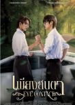 2025泰劇《一眼萬年/Eye Contact The Series》泰語中字 盒裝2碟