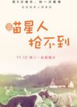 2014大陸劇 喵星人搶不到 國語中字 盒裝1碟