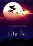 經典電影 伴妳高飛/返家十萬裏 Fly Away Home 全新盒裝DVD　
