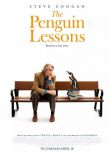 2024高分西班牙電影 企鵝課 The Penguin Lessons 英語中字 盒裝1碟