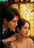 2025大陸劇《走火》鄧凱/譚鹽鹽 國語中字 盒裝2碟 