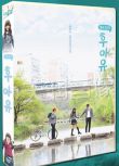 韓劇《你是誰 - 學校2015》金所泫/南柱赫 台灣國語/韓語 高清盒裝11碟