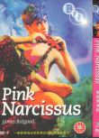 1971美國高分電影 粉紅色水仙/Pink Narcissus Don Brooks 英語中字 盒裝1碟