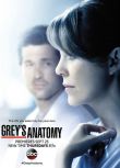 2014美劇 實習醫生格蕾/醫人當自強/Grey's Anatomy 第11-18季 英語中字 39碟