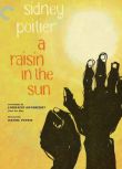 1961美國電影 陽光下的葡萄幹/陽光下成長 A Raisin in the Sun 英語中字