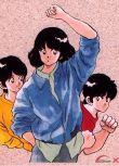 1985動畫 棒球英豪/鄰家女孩/棒球小子 國語無字 13碟