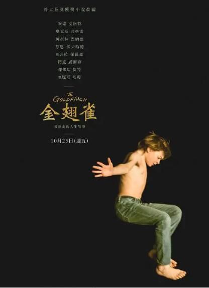 電影 金翅雀 The Goldfinch (2019) 高清盒裝DVD