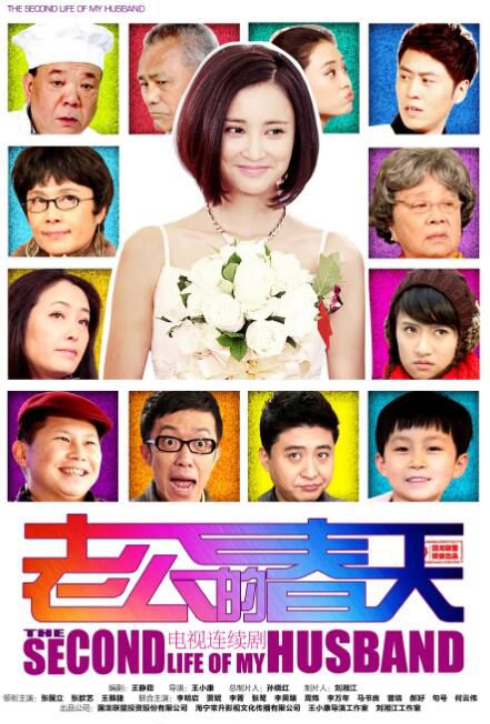 2013大陸劇 老公的春天/The Husband Spring 張國立/張歆藝 國語中字 7碟