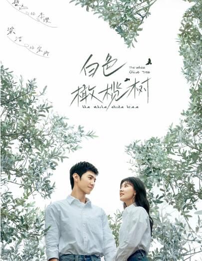 2025大陸劇 白色橄欖樹/李瓚與宋冉的中場戰事【TV全集+幕後花絮】 陳哲遠/梁潔 高清盒裝6碟 2025大陸劇 白色橄欖樹/李瓚與宋冉的中場戰事【TV全集+幕後花絮】 陳哲遠/梁潔 高清盒裝6碟