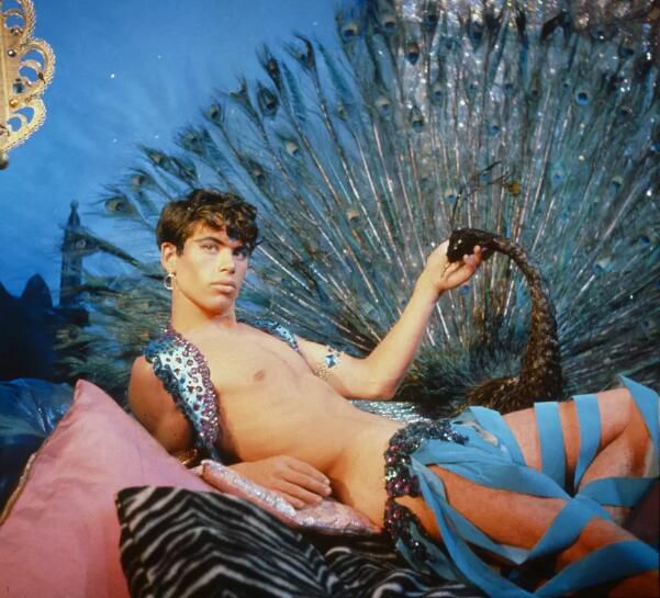 1971美國高分電影 粉紅色水仙/Pink Narcissus Don Brooks 英語中字 盒裝1碟 1971美國高分電影 粉紅色水仙/Pink Narcissus Don Brooks 英語中字 盒裝1碟