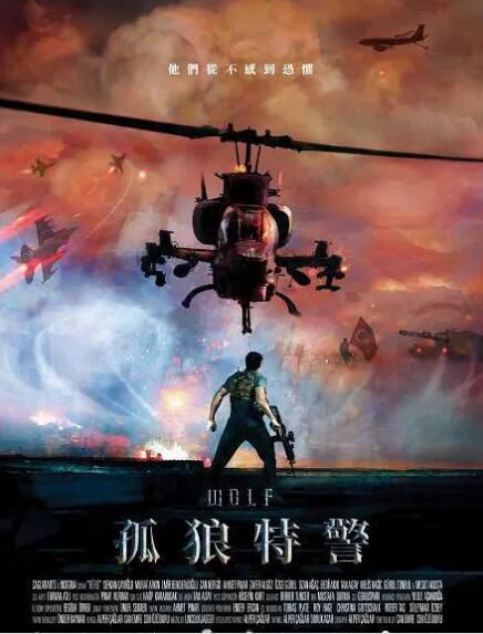 2018動作電影 土耳其戰狼電影版/孤狼特警 高清盒裝DVD