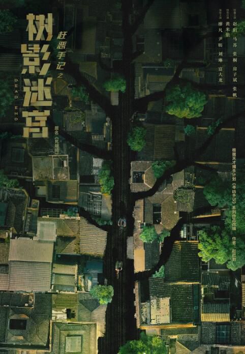 2025大陸劇《樹影迷宮/死胡同/尋兇手記》廖凡/尹昉 國語中字 盒裝3碟