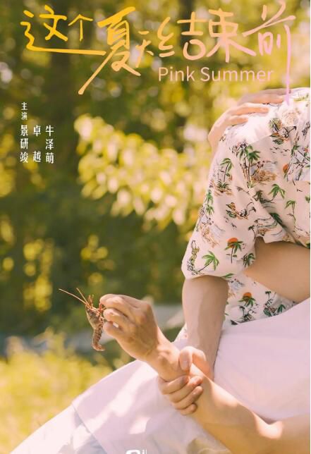 2024大陸短劇《這個夏天結束前/粉紅假日》景研竣/卓越 國語中字 盒裝1碟 2024大陸短劇《這個夏天結束前/粉紅假日》景研竣/卓越 國語中字 盒裝1碟