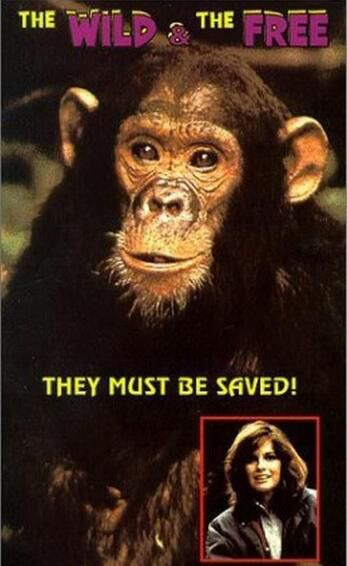 1980美國電影 自由的猩猩 國語無字幕 DVD