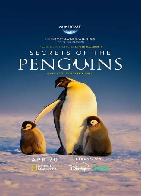 2025美國紀錄片《企鵝之謎/企鵝的秘密》貝爾蒂·格雷戈裏 英語中字 盒裝1碟