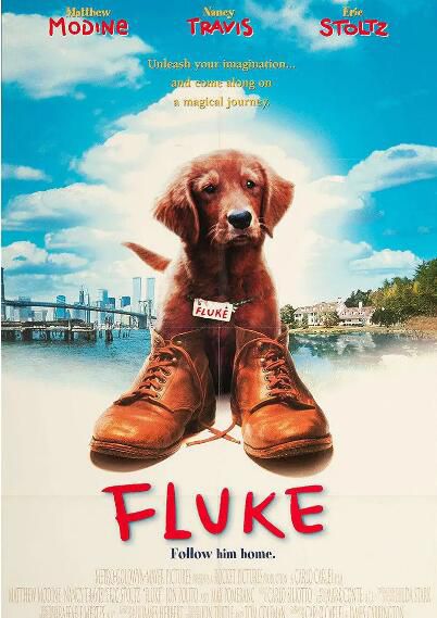 1995電影 再世人狗緣 Fluke/人犬一點靈 國語中字 1995電影 再世人狗緣 Fluke/人犬一點靈 國語中字